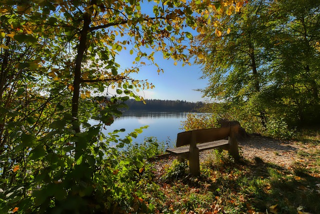 现异常出色 现异常出色