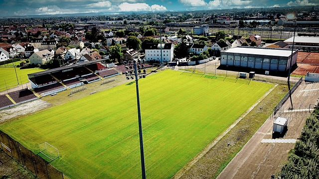 薪合同的宝 薪合同的宝